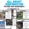Hibernation preschool activities, Pre-K, Kinder, Animals in Winter Activities